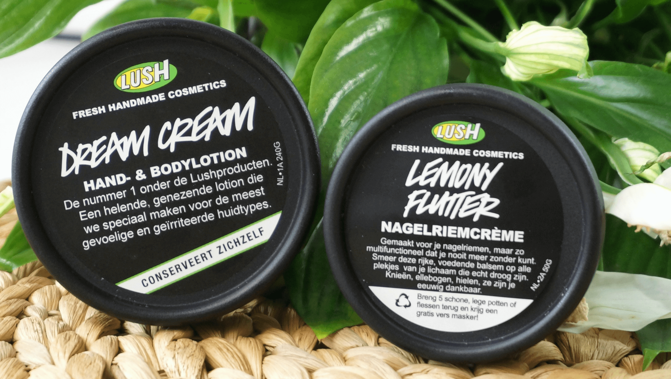 Dream Cream Lush