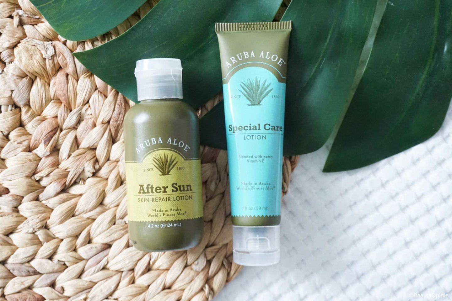 Review Aruba Aloe