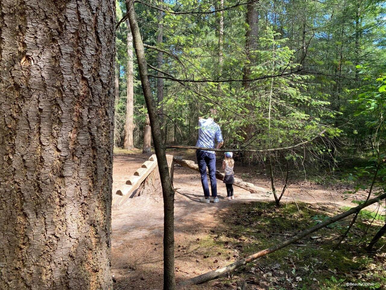 wandelen sallandse heuvelrug